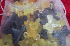 20250821_163438-scaled
