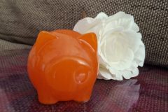 Schwein Orange